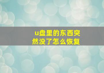 u盘里的东西突然没了怎么恢复