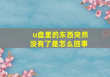 u盘里的东西突然没有了是怎么回事