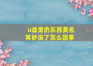 u盘里的东西莫名其妙没了怎么回事