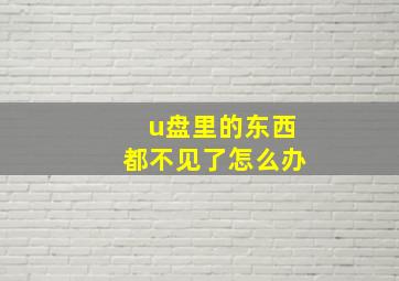 u盘里的东西都不见了怎么办