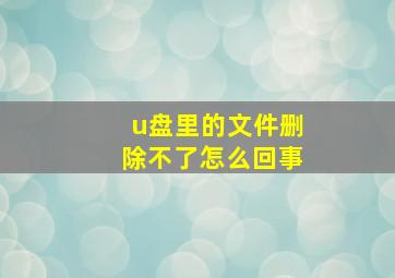 u盘里的文件删除不了怎么回事