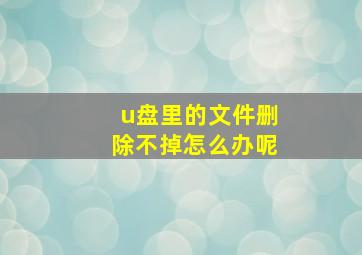 u盘里的文件删除不掉怎么办呢