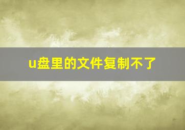 u盘里的文件复制不了