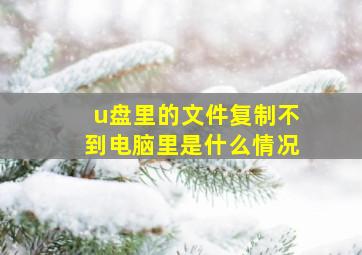 u盘里的文件复制不到电脑里是什么情况