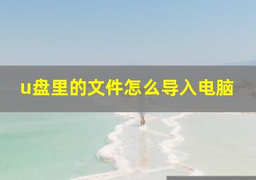 u盘里的文件怎么导入电脑