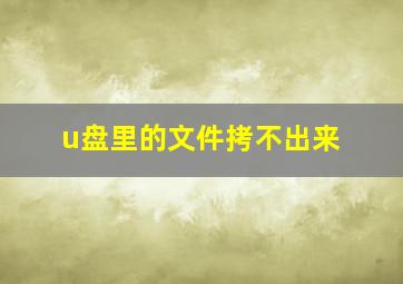 u盘里的文件拷不出来