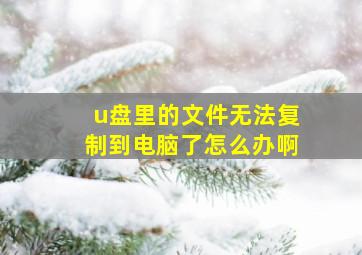 u盘里的文件无法复制到电脑了怎么办啊