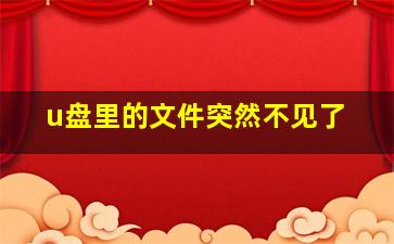 u盘里的文件突然不见了