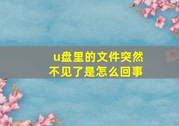 u盘里的文件突然不见了是怎么回事