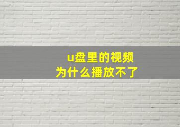 u盘里的视频为什么播放不了