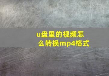 u盘里的视频怎么转换mp4格式