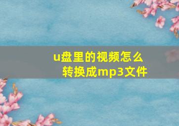 u盘里的视频怎么转换成mp3文件