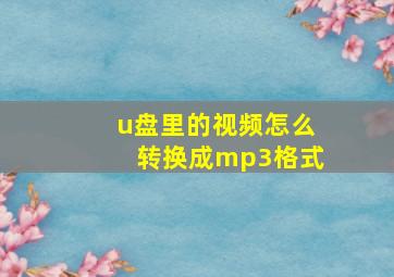 u盘里的视频怎么转换成mp3格式