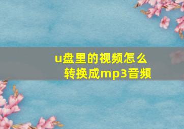 u盘里的视频怎么转换成mp3音频