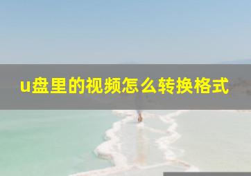 u盘里的视频怎么转换格式