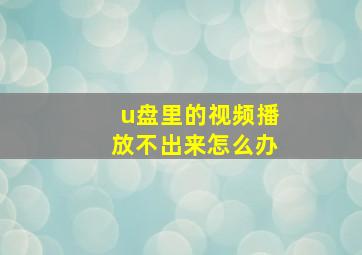 u盘里的视频播放不出来怎么办