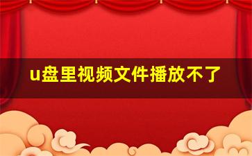 u盘里视频文件播放不了