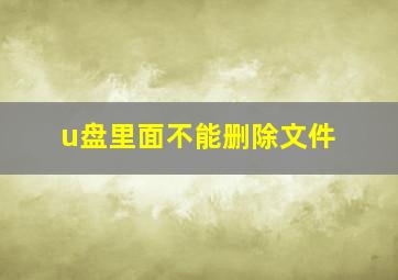 u盘里面不能删除文件