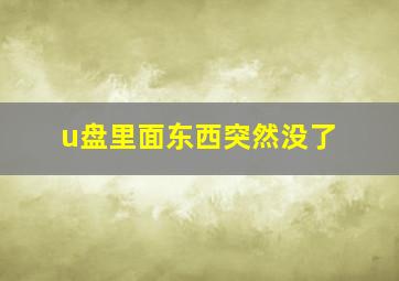 u盘里面东西突然没了