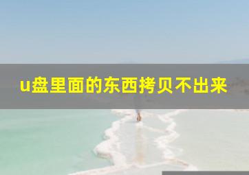 u盘里面的东西拷贝不出来