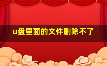 u盘里面的文件删除不了