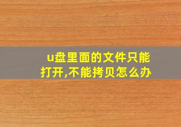 u盘里面的文件只能打开,不能拷贝怎么办