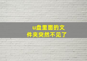 u盘里面的文件夹突然不见了