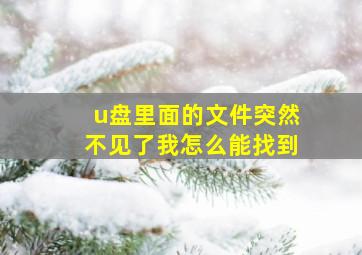 u盘里面的文件突然不见了我怎么能找到