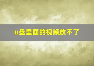 u盘里面的视频放不了