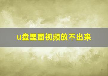 u盘里面视频放不出来