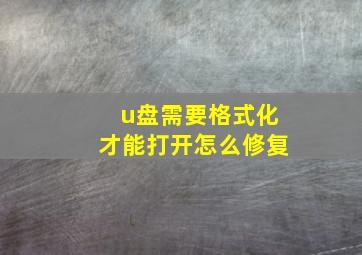 u盘需要格式化才能打开怎么修复