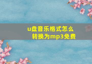 u盘音乐格式怎么转换为mp3免费