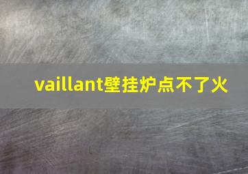 vaillant壁挂炉点不了火