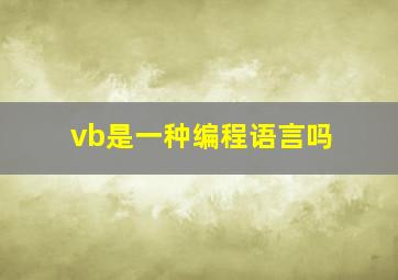 vb是一种编程语言吗