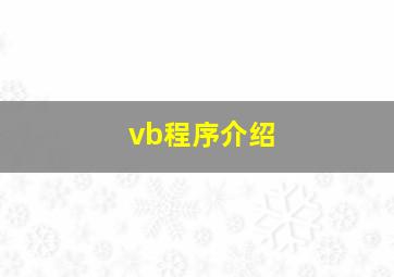 vb程序介绍