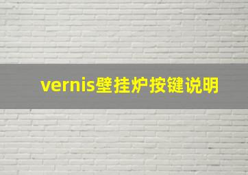 vernis壁挂炉按键说明