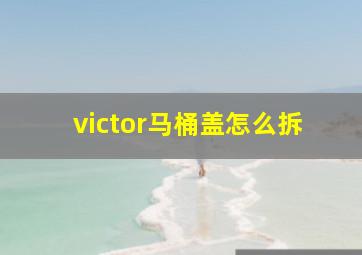 victor马桶盖怎么拆