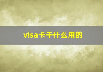 visa卡干什么用的