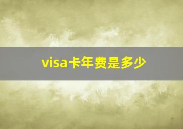 visa卡年费是多少