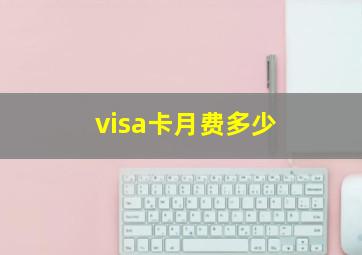 visa卡月费多少