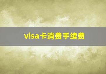 visa卡消费手续费