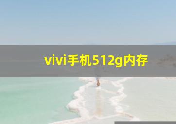 vivi手机512g内存