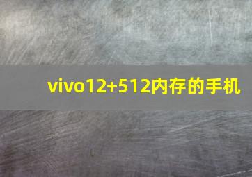 vivo12+512内存的手机