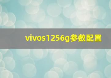 vivos1256g参数配置