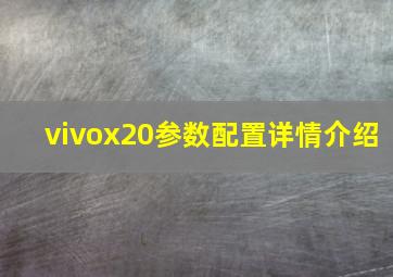 vivox20参数配置详情介绍