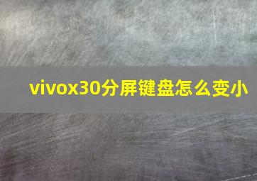 vivox30分屏键盘怎么变小