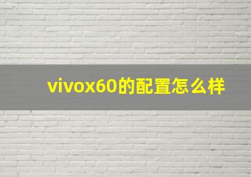 vivox60的配置怎么样