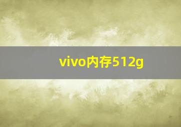 vivo内存512g