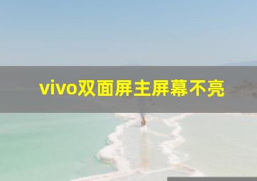 vivo双面屏主屏幕不亮