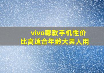 vivo哪款手机性价比高适合年龄大男人用